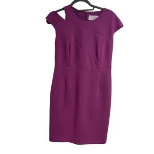 Boss Hugo‎ Dress purple size 8 petite cap sleeve Danouk lined